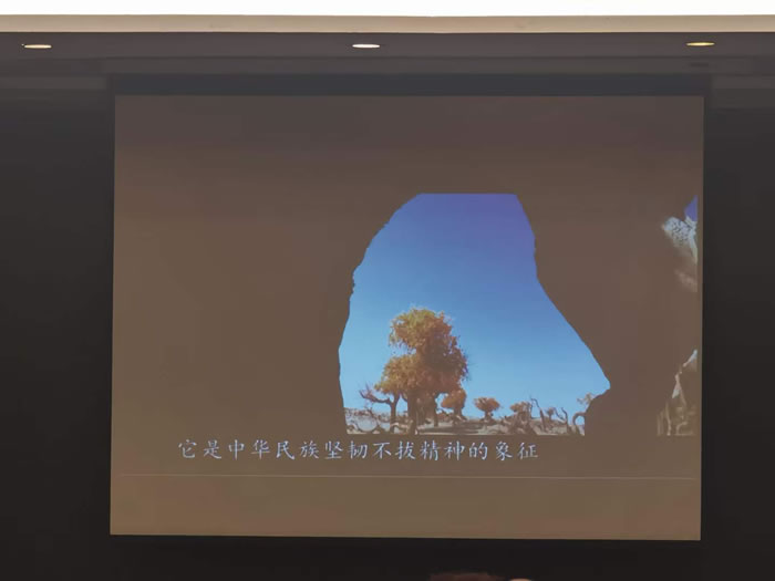 綿陽中旅行假日旅行社舉行胡楊林、南疆專列推薦會